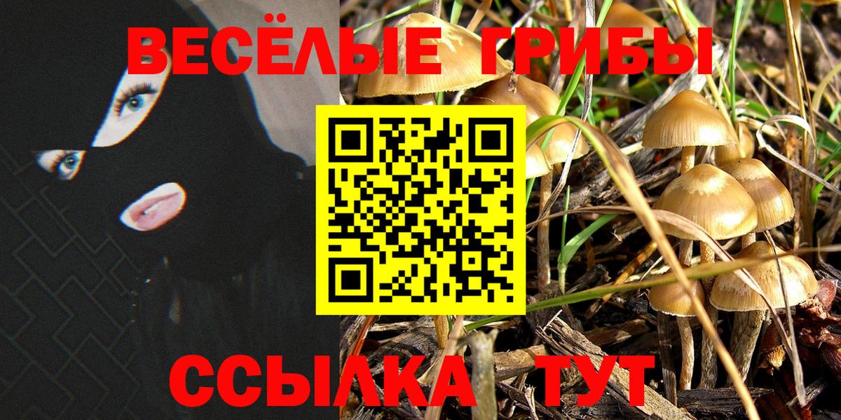 ГАШИШ Королёв