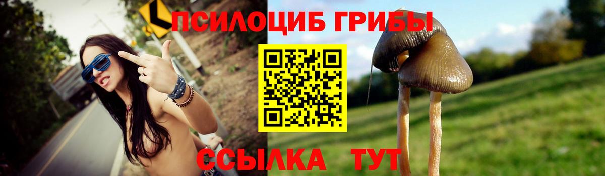 Королёв  Галлюциногенные грибы Cubensis  Галлюциногенные грибы ЛСД  Вход с VPN 