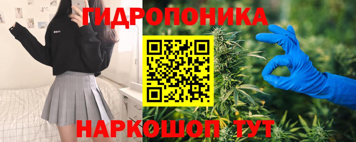 Конопля LSD WEED  МАРИХУАНА индика  Бошки марихуана SATIVA & INDICA  Вход с VPN  Королёв  Бошки Шишки сатива 